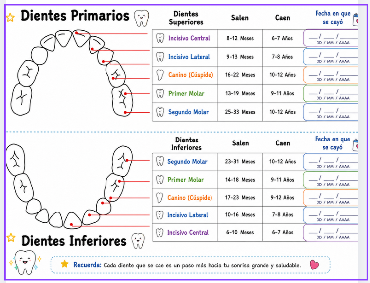 La ruta del raton Perez